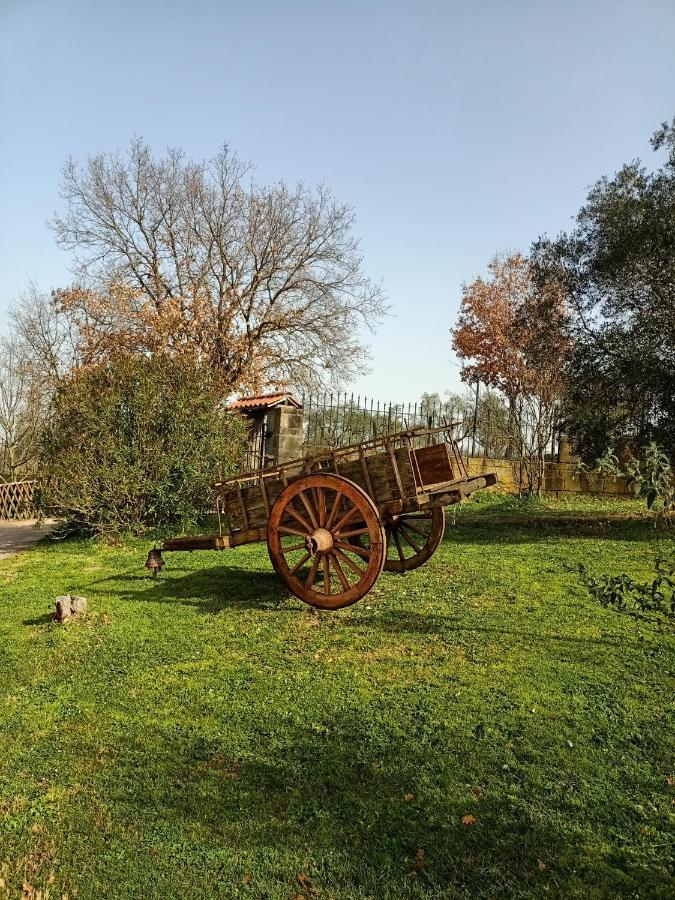 Rifugio Di Campagna Villa Vitorchiano Exteriör bild